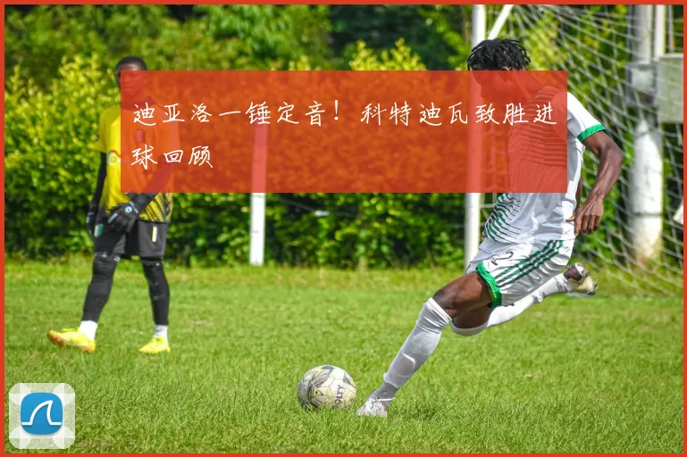 迪亚洛一锤定音！科特迪瓦致胜进球回顾